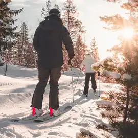 Cross-country Skiing